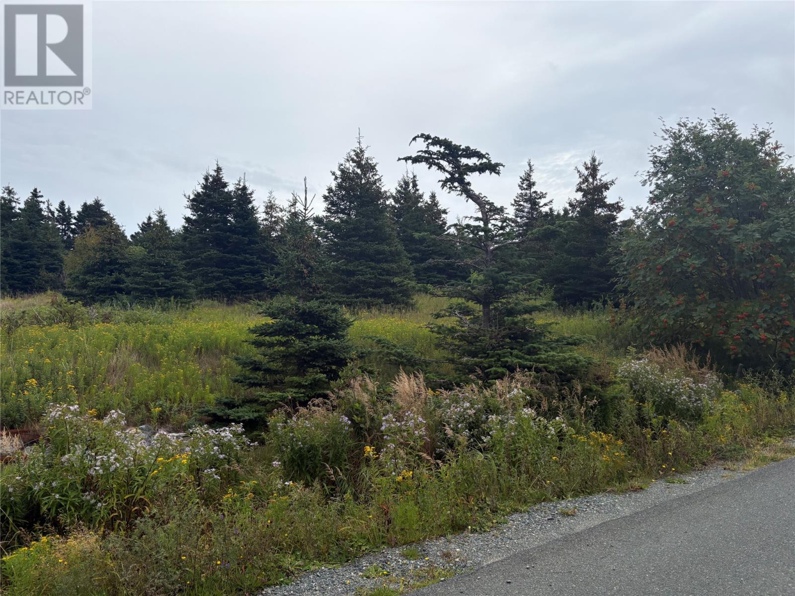 7-15 Connors Lane, Pouch Cove — photo 6