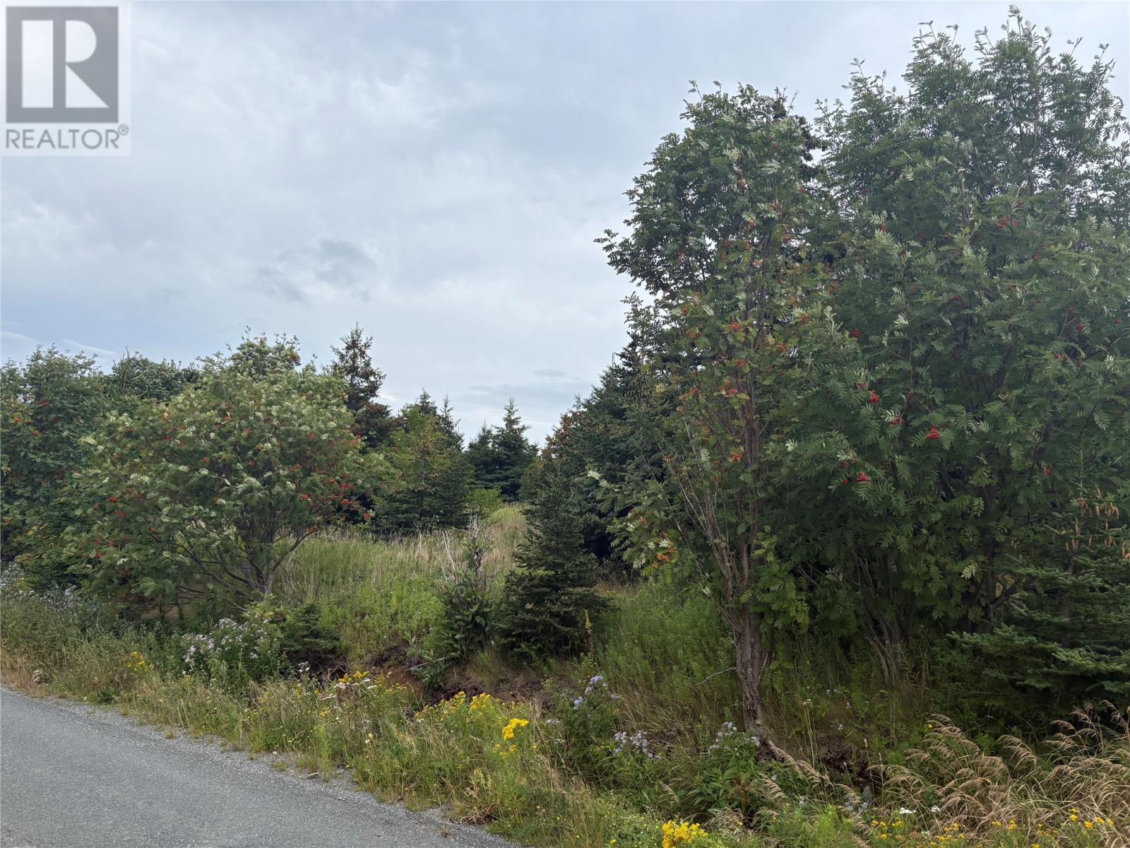 7-15 Connors Lane, Pouch Cove — photo 7