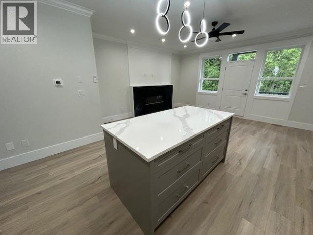 24308 101a Avenue, Maple Ridge, British Columbia  V2W 0A7 - Photo 5 - R3165630