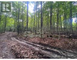 139 MAIN STREET S, Milton, Ontario