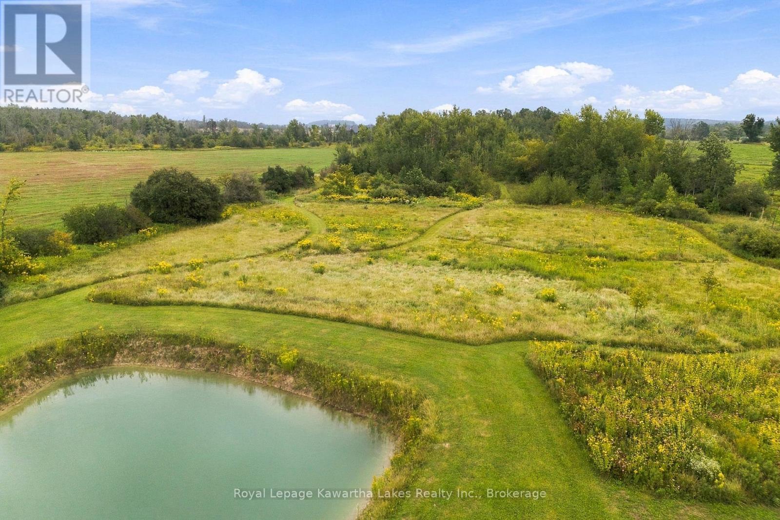3313 Hwy 7 Highway, Kawartha Lakes, Ontario  K0L 2W0 - Photo 10 - X13787262