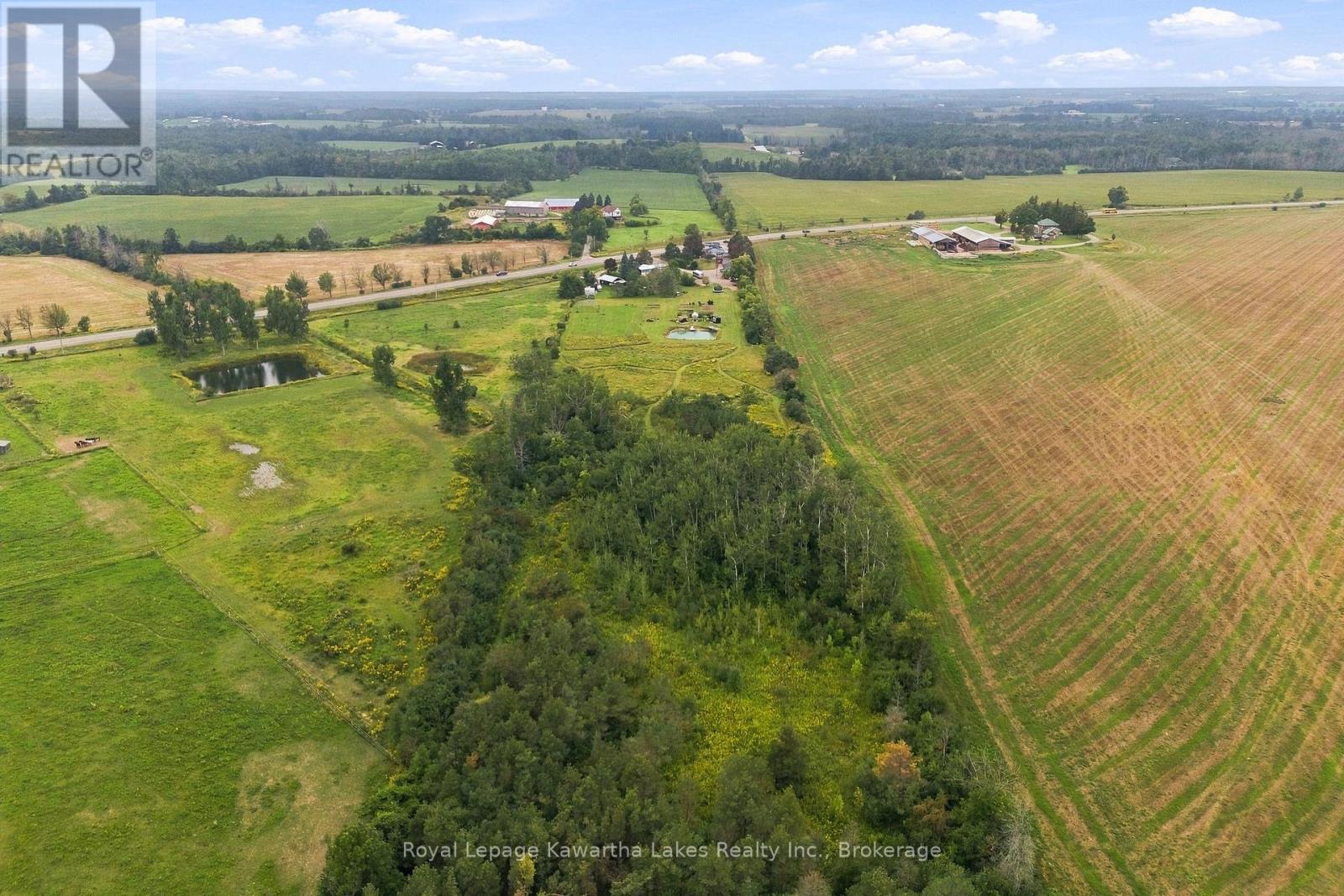3313 Hwy 7 Highway, Kawartha Lakes, Ontario  K0L 2W0 - Photo 11 - X13787262