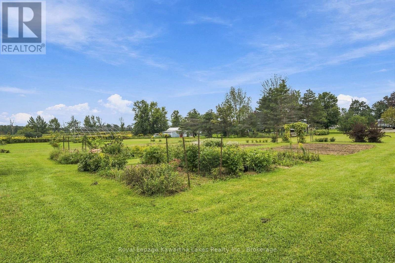 3313 Hwy 7 Highway, Kawartha Lakes, Ontario  K0L 2W0 - Photo 43 - X13787262