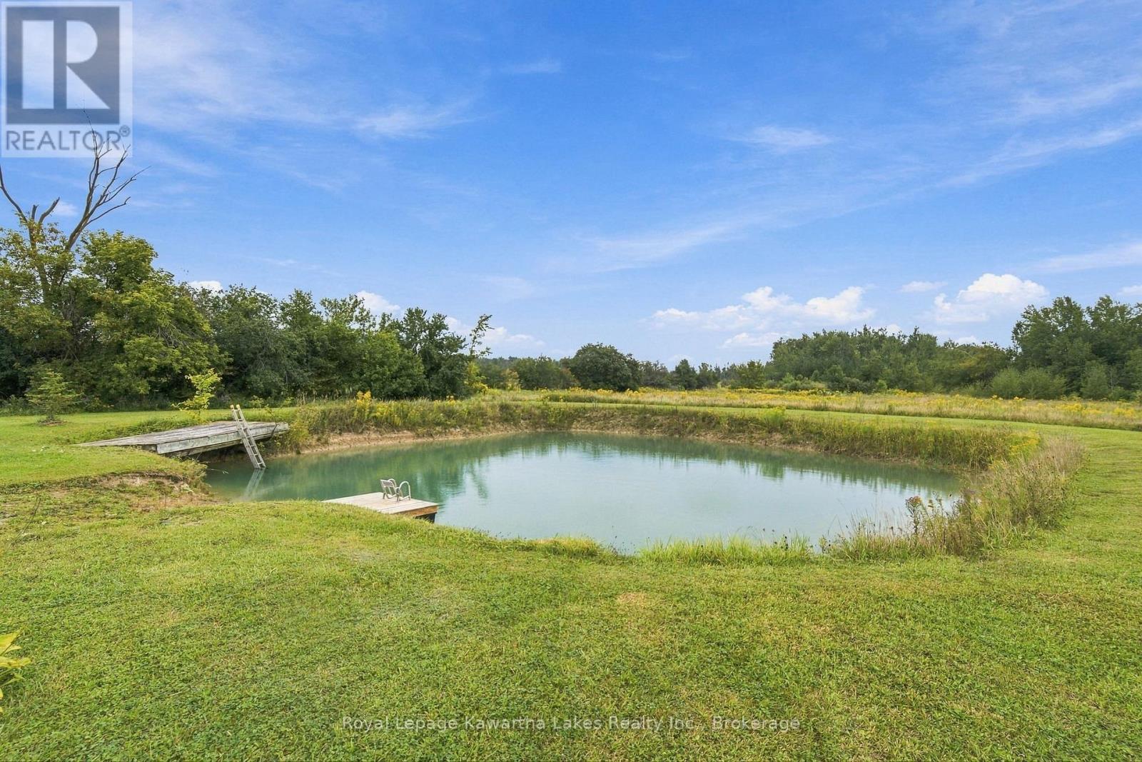 3313 Hwy 7 Highway, Kawartha Lakes, Ontario  K0L 2W0 - Photo 45 - X13787262