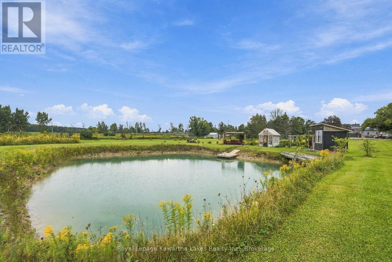 3313 Hwy 7 Highway, Kawartha Lakes, Ontario  K0L 2W0 - Photo 49 - X13787262