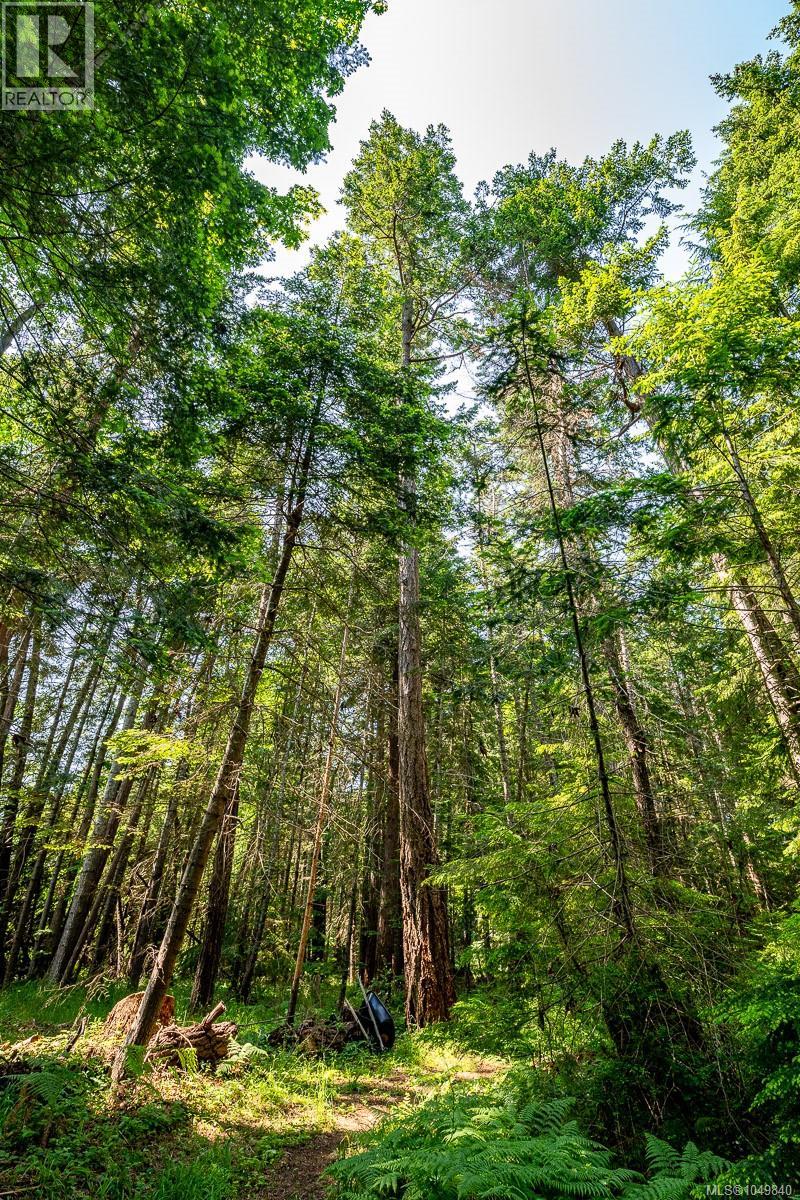 Lot 4 Butler Rd, Comox, British Columbia  V9M 4B4 - Photo 29 - 1049840