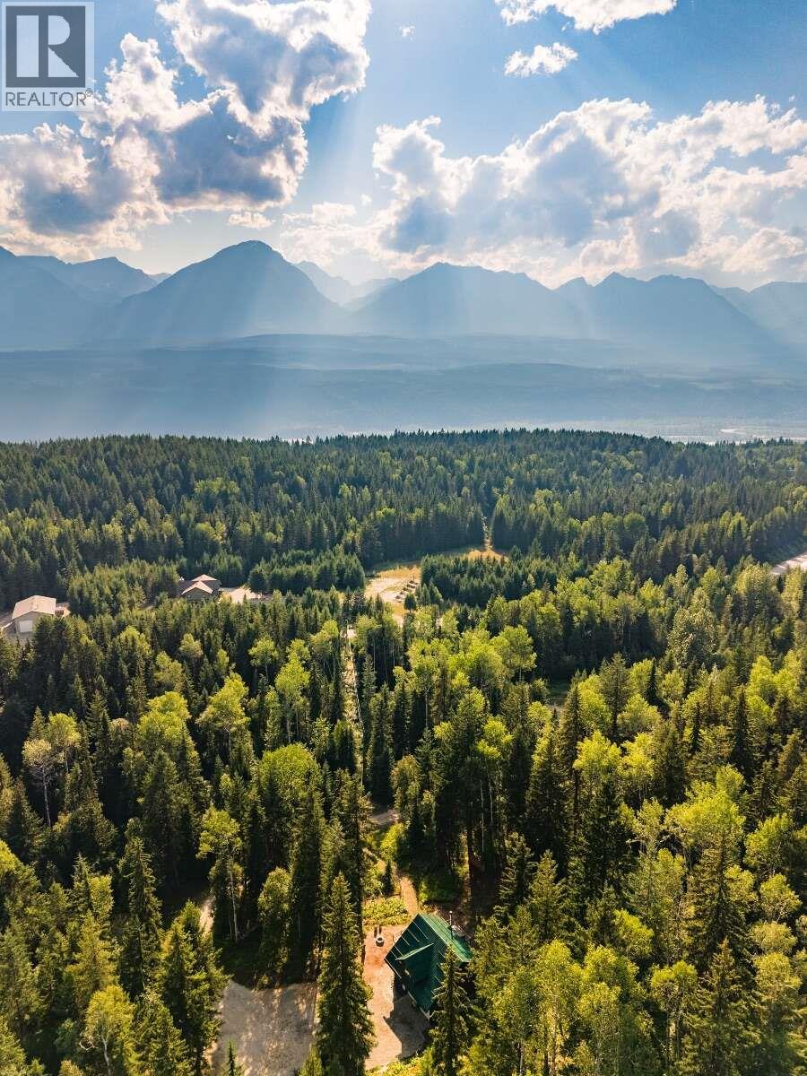 1629 Adolph Johnson Road, Golden, British Columbia  V0A 1H1 - Photo 3 - 10400835