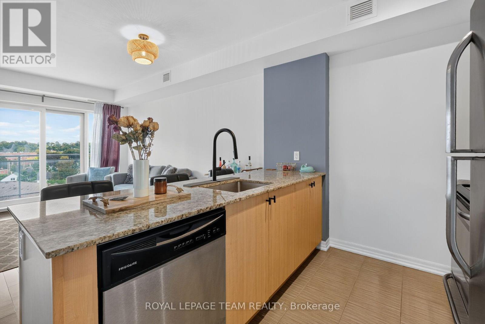 706 - 90 Landry Street, Ottawa, Ontario  K1L 0A9 - Photo 16 - X13787384