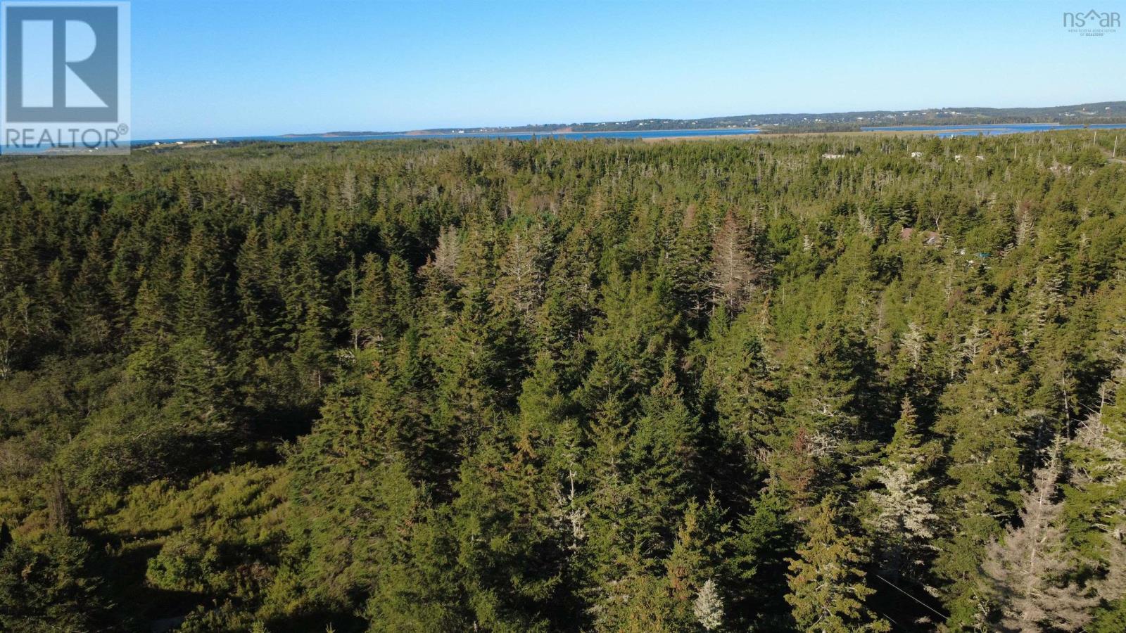 Conrod Beach Road, Lower East Chezzetcook, Nova Scotia  B0J 2L0 - Photo 14 - 202623384