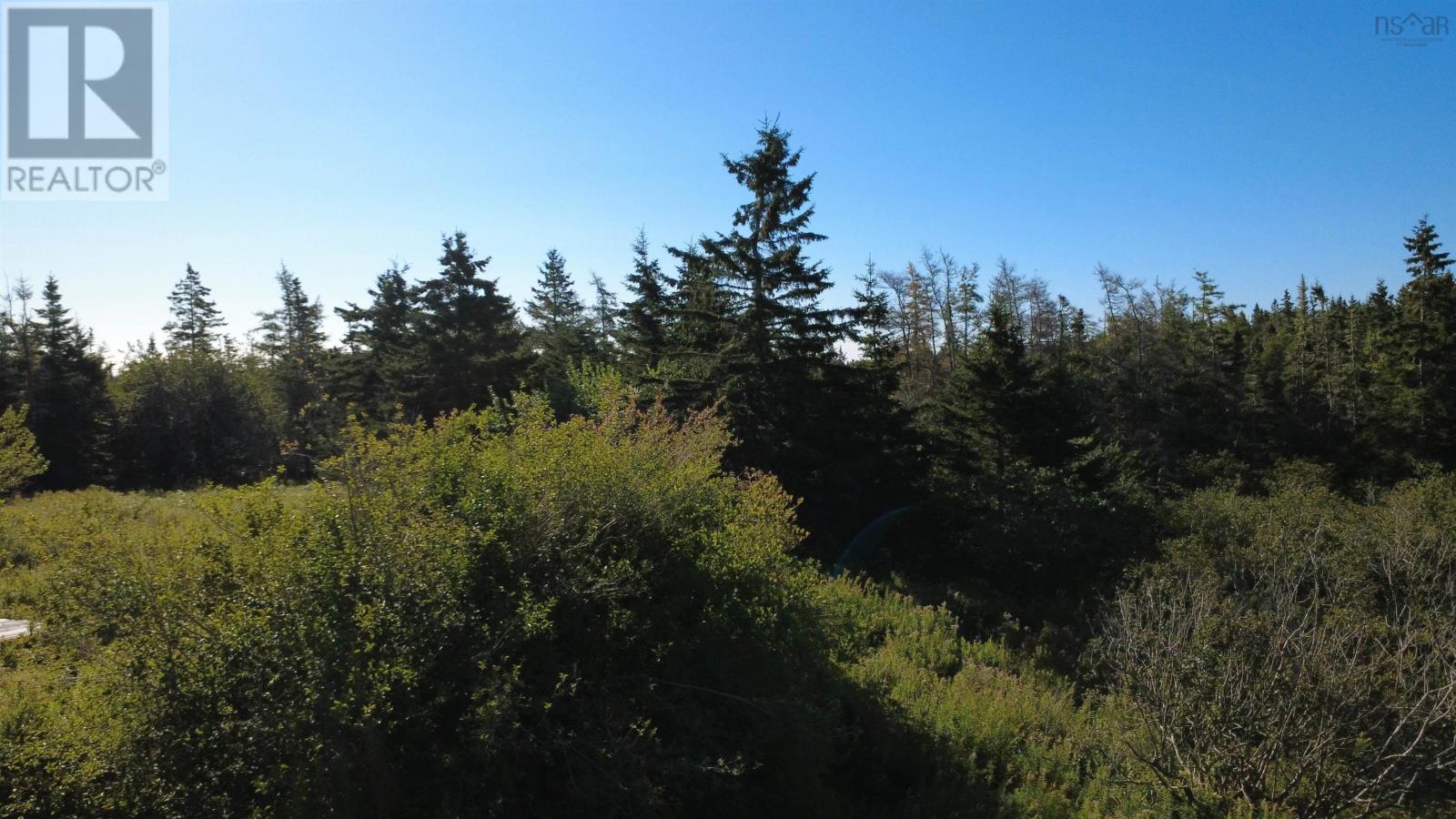 Conrod Beach Road, Lower East Chezzetcook, Nova Scotia  B0J 2L0 - Photo 28 - 202623384
