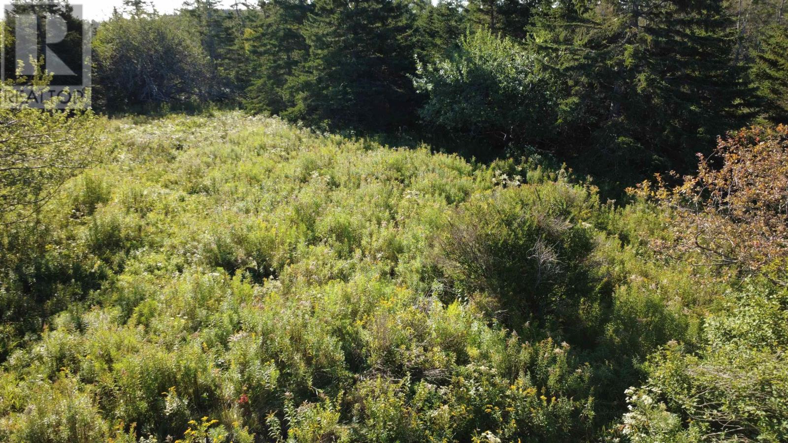 Conrod Beach Road, Lower East Chezzetcook, Nova Scotia  B0J 2L0 - Photo 29 - 202623384