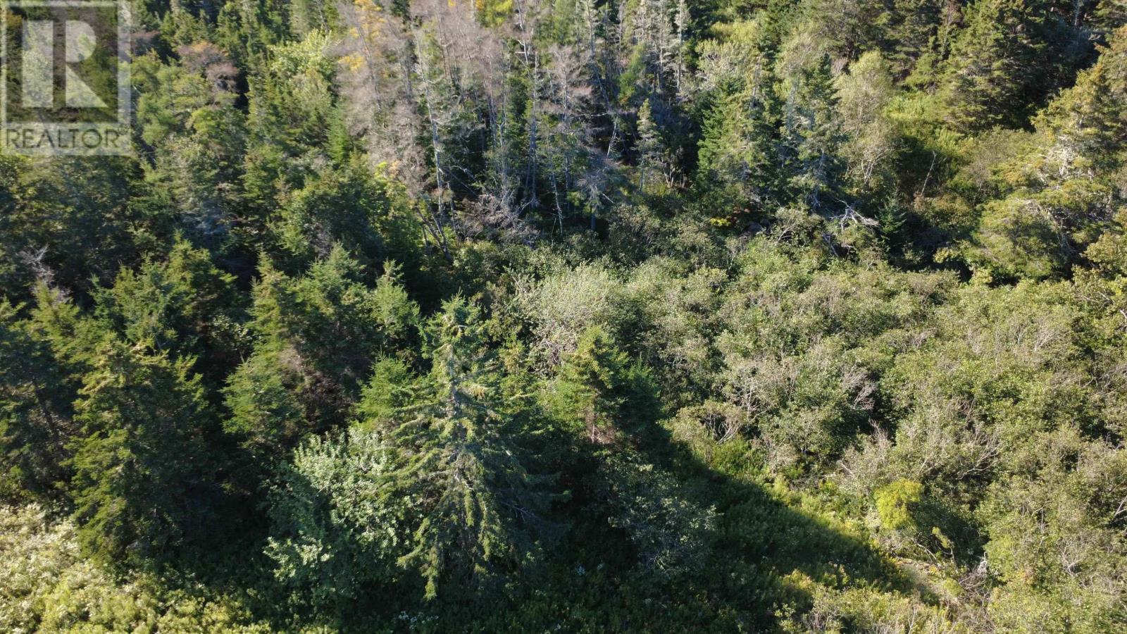 Conrod Beach Road, Lower East Chezzetcook, Nova Scotia  B0J 2L0 - Photo 32 - 202623384