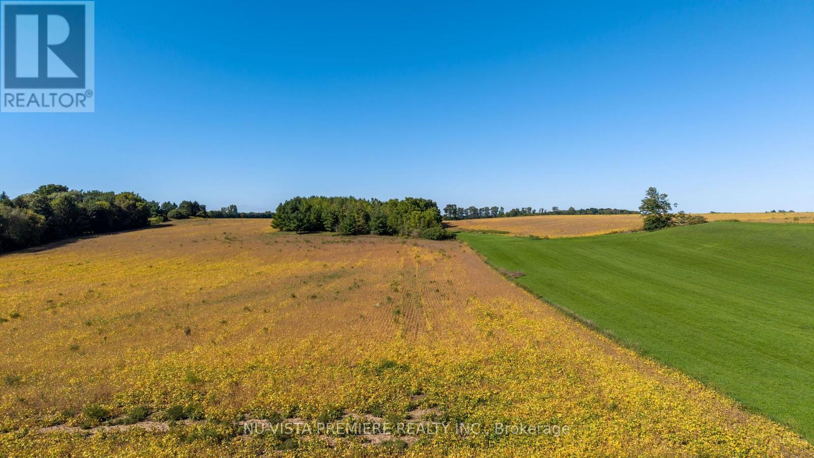 0 Emily Street, St. Marys, Ontario N4X 1C4 - Photo 29 - X13787564