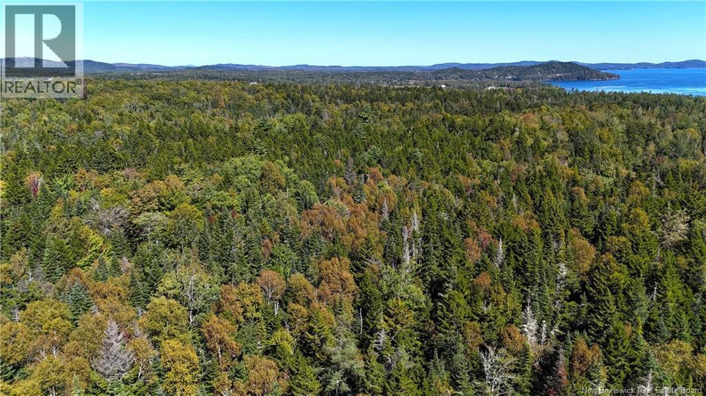 000 Harkness Road, Saint Andrews, New Brunswick  E5B 3E7 - Photo 13 - NB134429