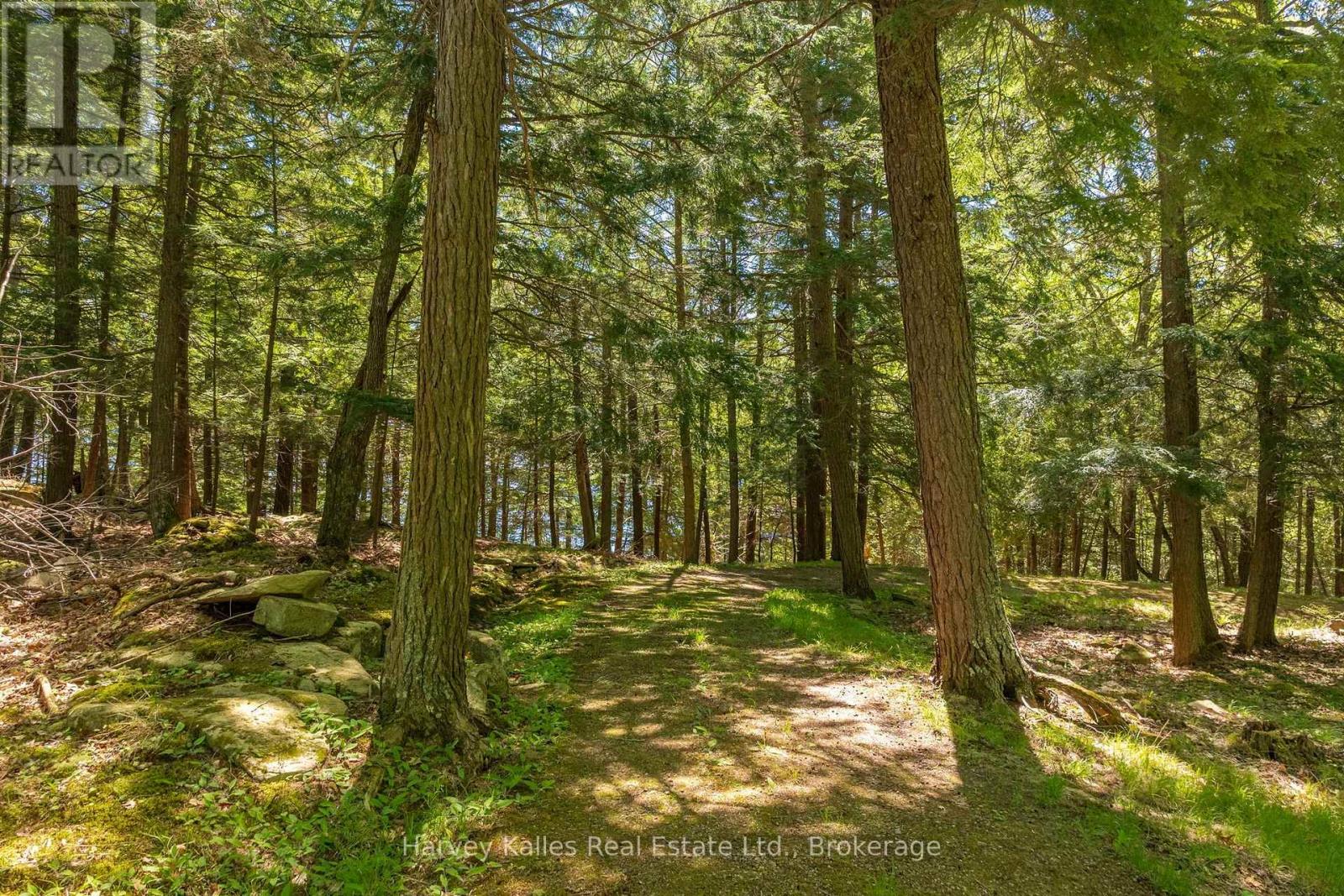 1353 Port Cunnington Road, Lake Of Bays, Ontario  P0A 1H0 - Photo 29 - X13767852