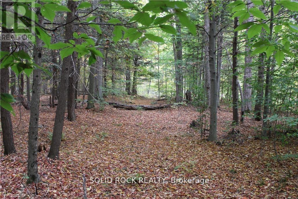 2209 Jochem Road, Edwardsburgh/cardinal, Ontario