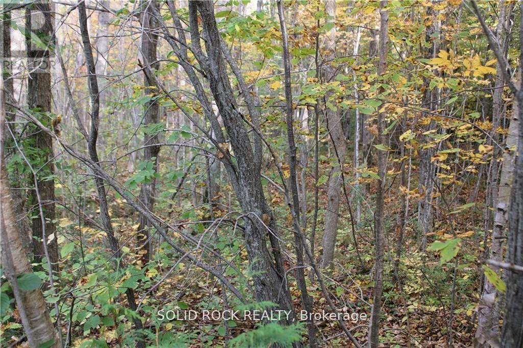2209 Jochem Road, Edwardsburgh/cardinal, Ontario  K0G 1T0 - Photo 11 - X12250373