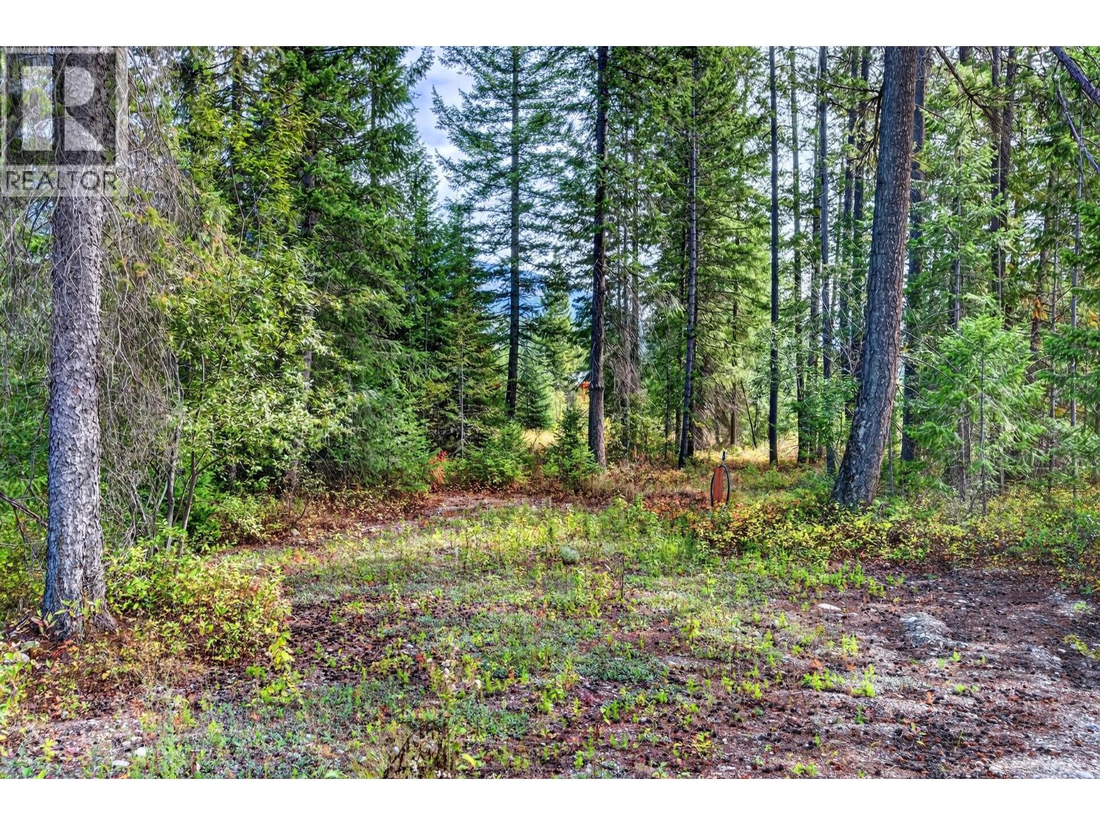 2756 Donald Road, Golden, British Columbia  V0A 1H1 - Photo 37 - 10400747