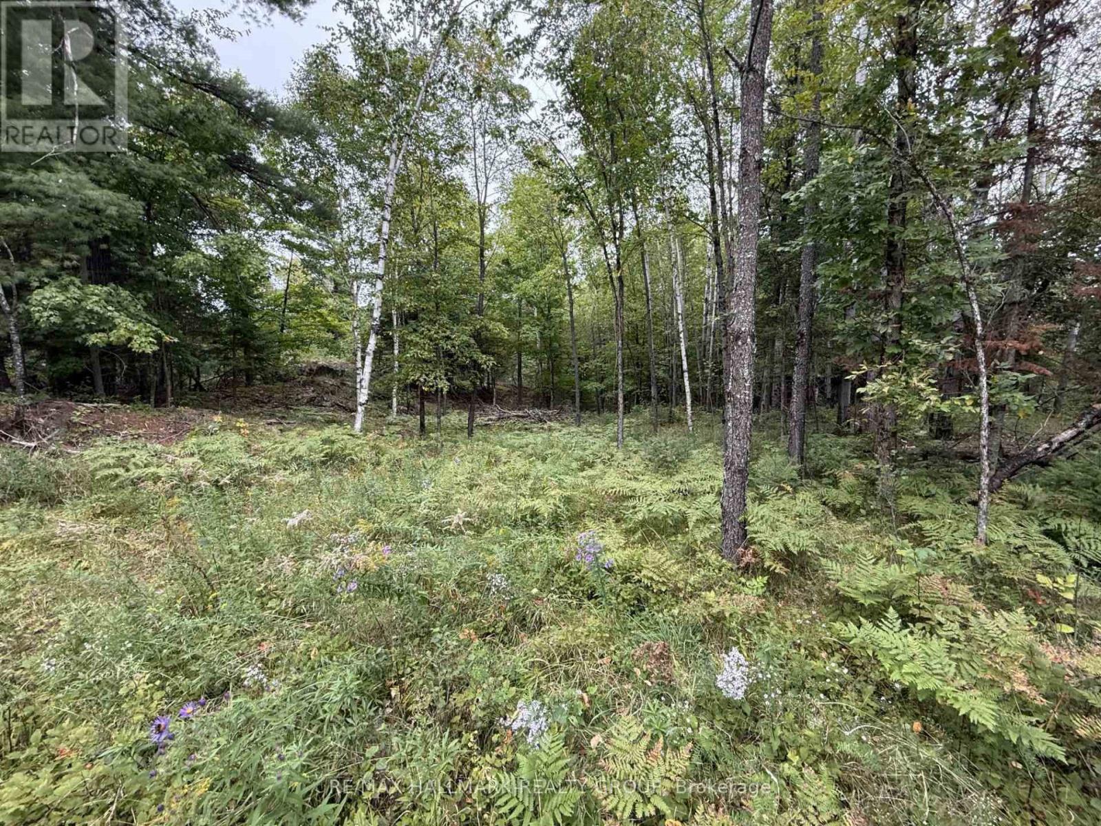 1059 6th Concession B Road, Lanark Highlands, Ontario  K0G 1K0 - Photo 3 - X13787690