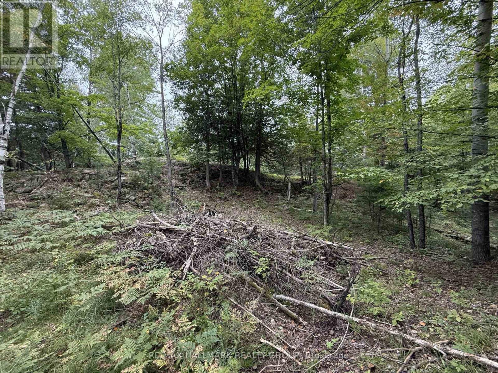 1059 6th Concession B Road, Lanark Highlands, Ontario  K0G 1K0 - Photo 6 - X13787690