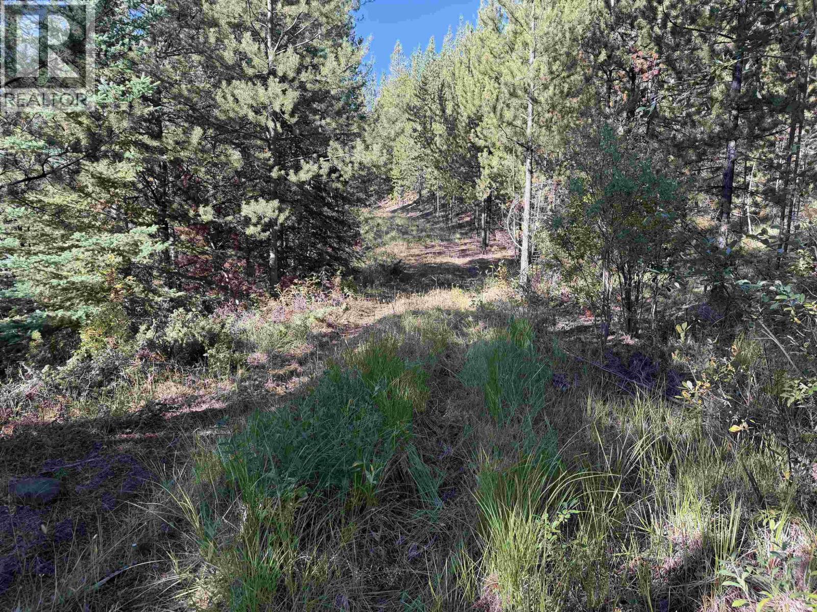 Dl 9921 3800 Forest Service Road, Quesnel, British Columbia  V2J 3H9 - Photo 6 - R3165834