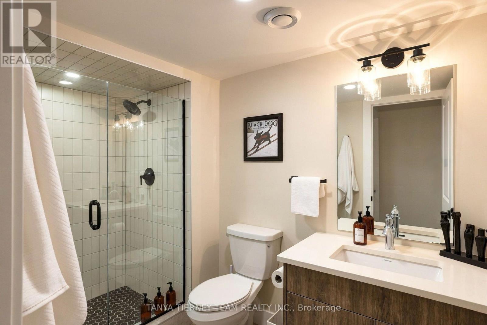 122 Courtland Street, Blue Mountains, Ontario L9Y 5L8 - Photo 41 - X13786836