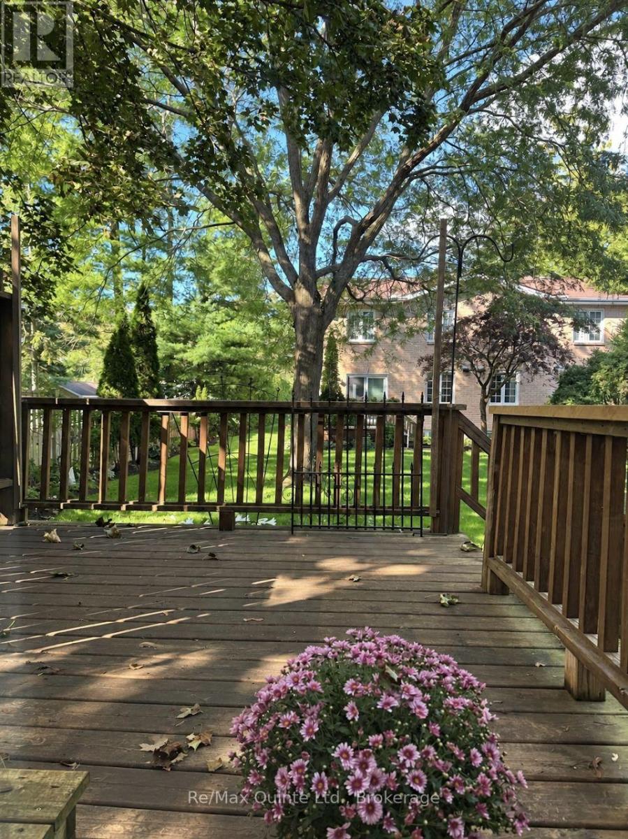 8 - 11 JANLYN CRESCENT photo 37