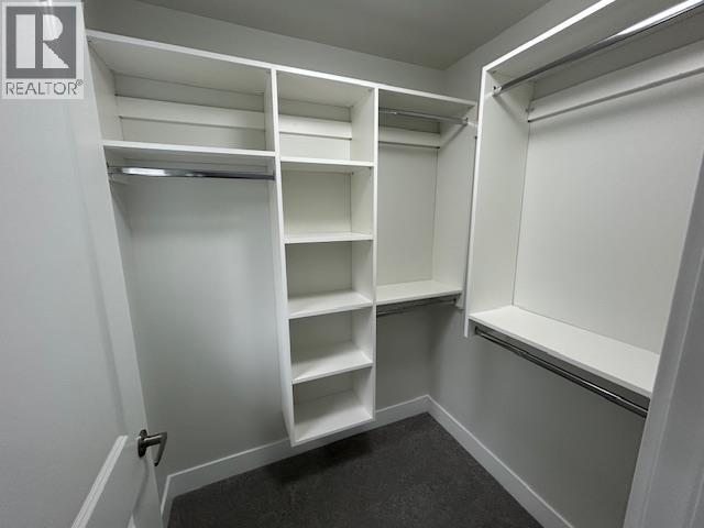 24307 101a Avenue, Maple Ridge, British Columbia  V2W 0A7 - Photo 13 - R3165782