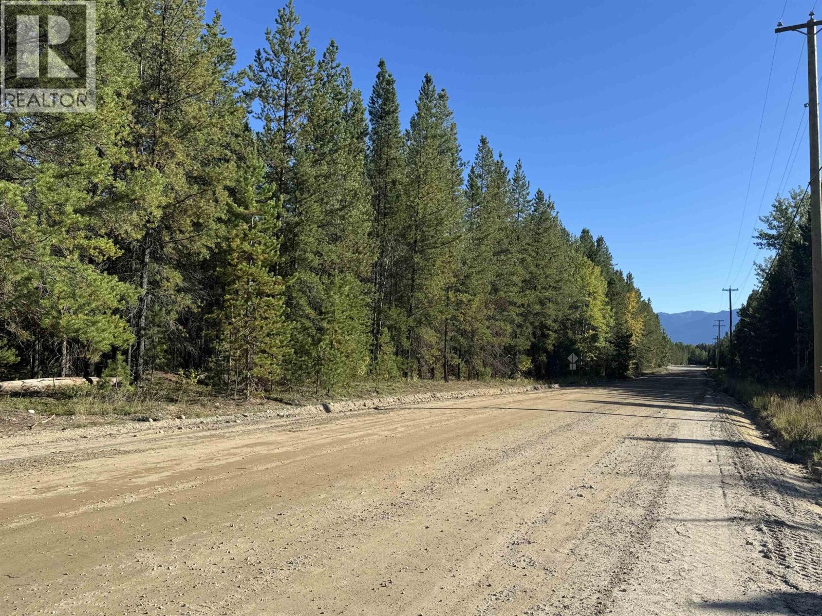 1250 17th Avenue, Valemount, British Columbia  V0E 2Z0 - Photo 8 - R3165683