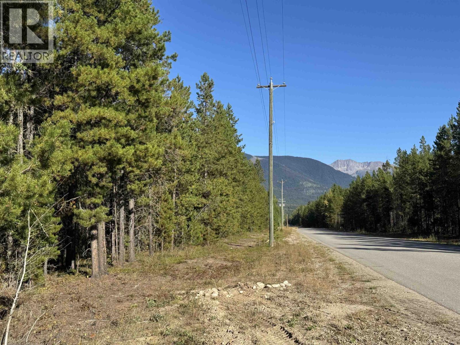 1250 17th Avenue, Valemount, British Columbia  V0E 2Z0 - Photo 6 - R3165683