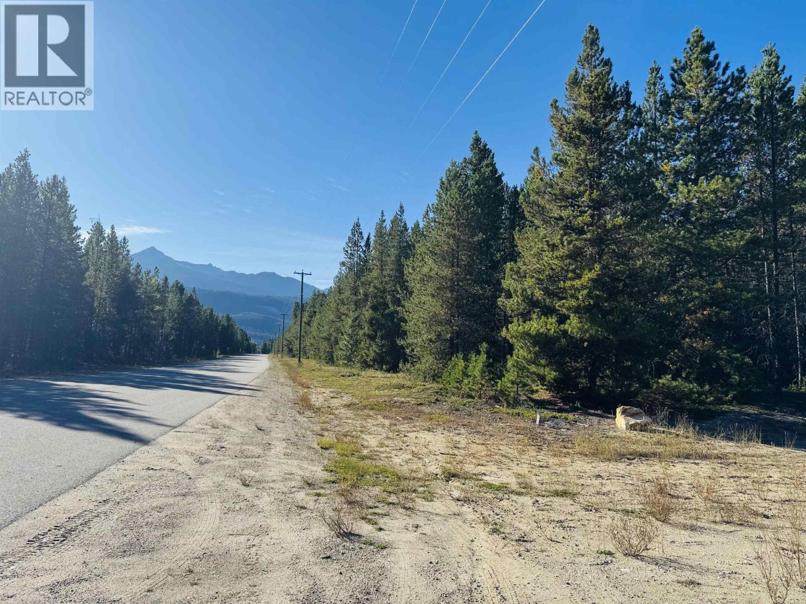 1250 17th Avenue, Valemount, British Columbia  V0E 2Z0 - Photo 3 - R3165683