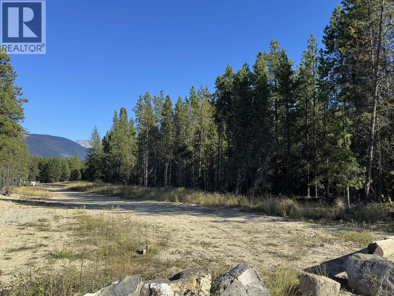 1250 17th Avenue, Valemount, British Columbia  V0E 2Z0 - Photo 7 - R3165683