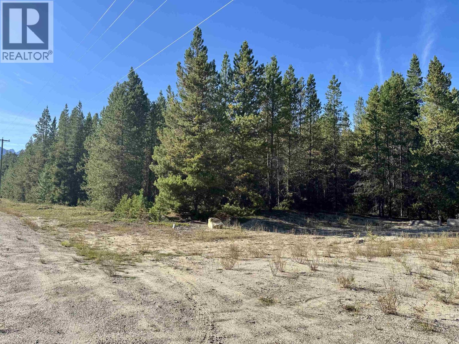 1250 17th Avenue, Valemount, British Columbia  V0E 2Z0 - Photo 2 - R3165683