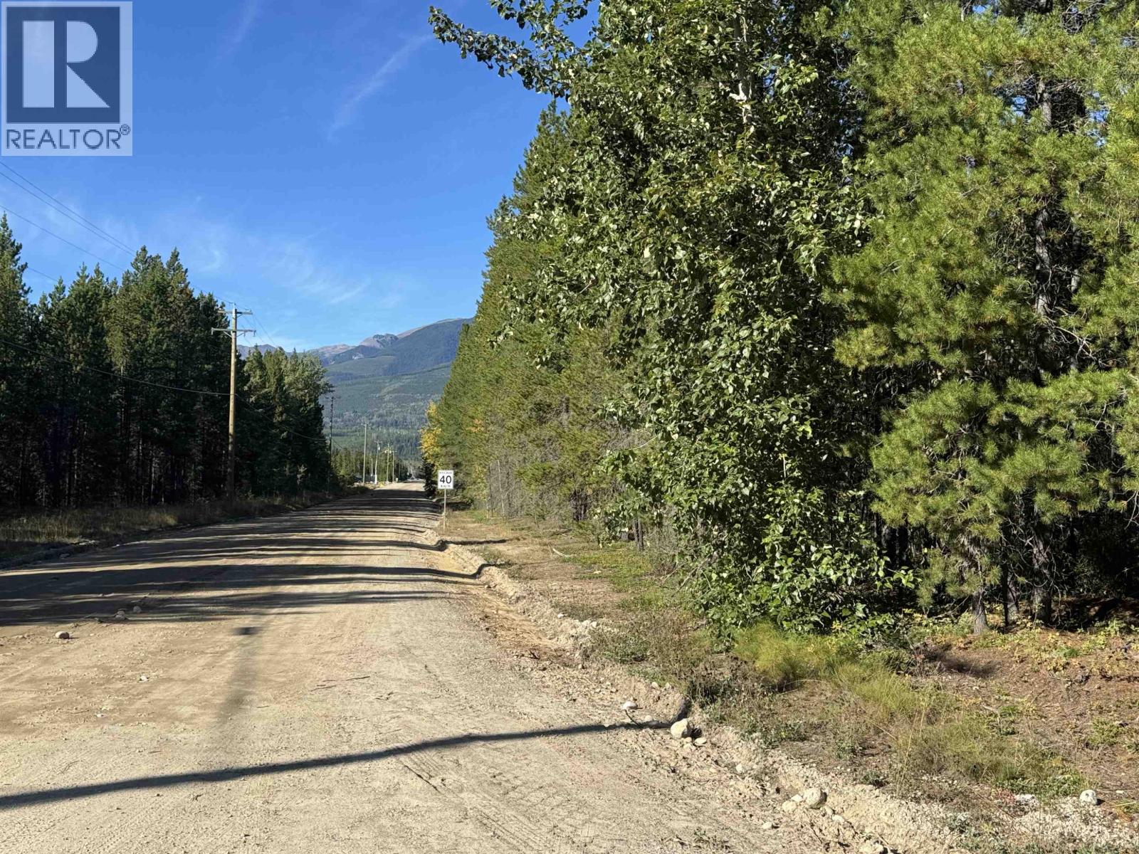 1250 17th Avenue, Valemount, British Columbia  V0E 2Z0 - Photo 5 - R3165683