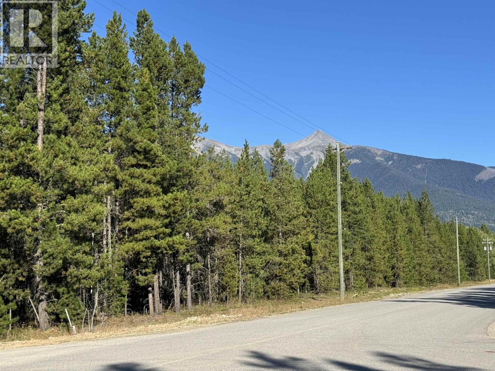 1250 17th Avenue, Valemount, British Columbia  V0E 2Z0 - Photo 1 - R3165683