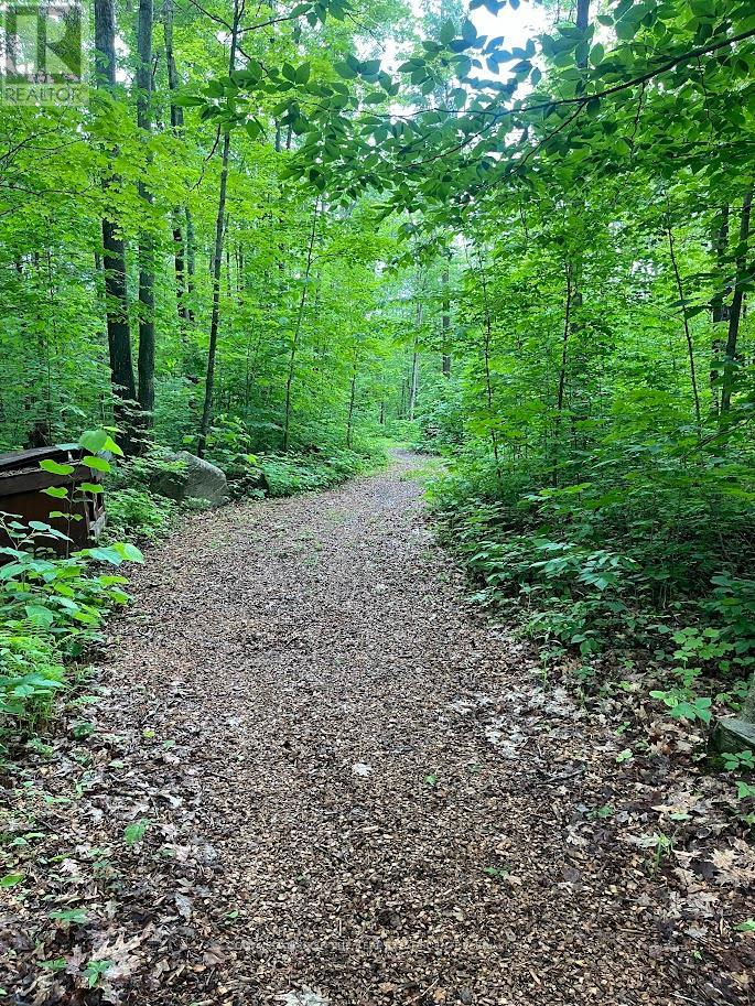 3196 Fesserton Side Road, Tay, Ontario  L0K 2C0 - Photo 47 - S13464090