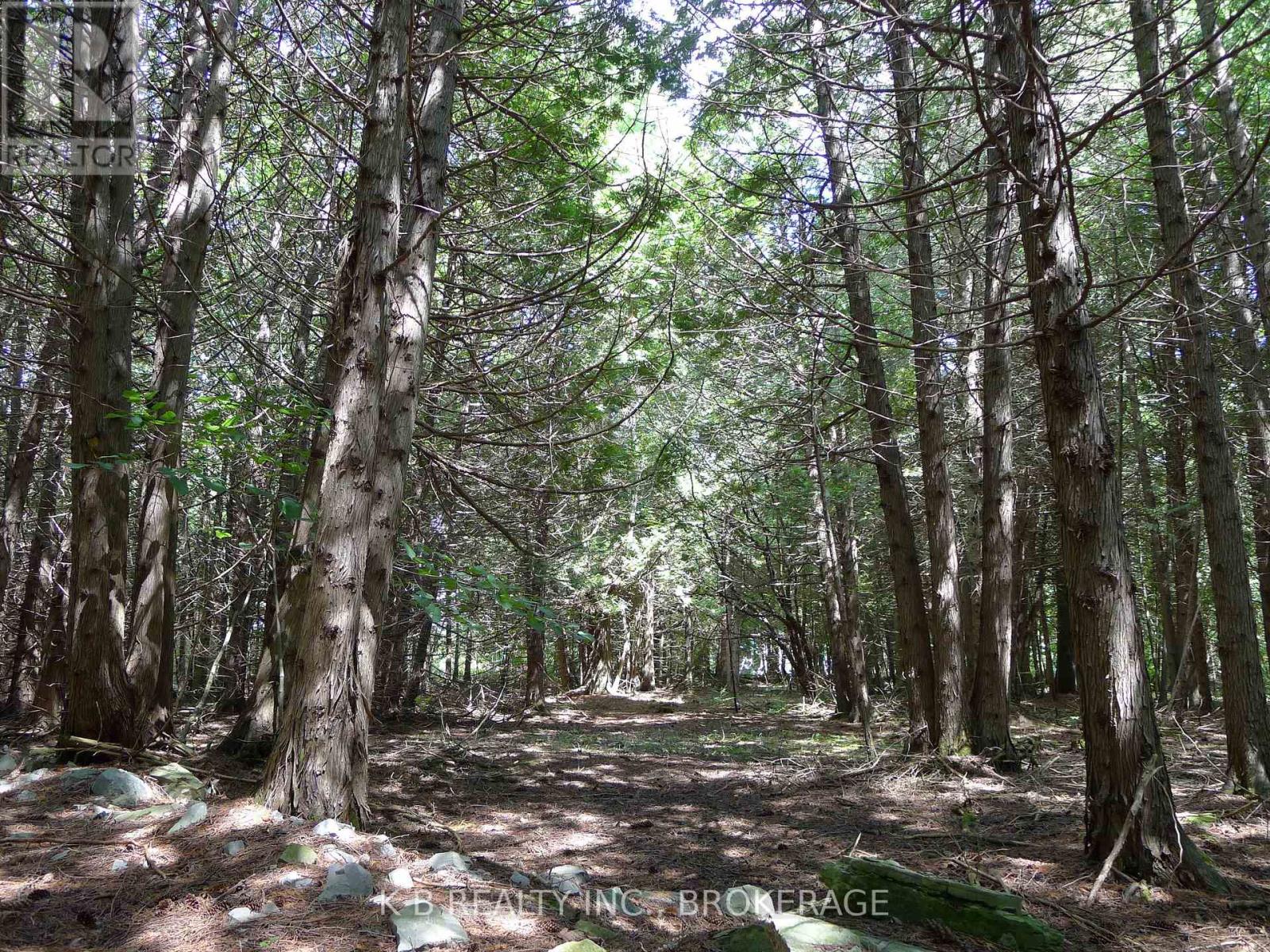 387 Christian Lane, Stone Mills, Ontario  K0K 3N0 - Photo 12 - X13788218