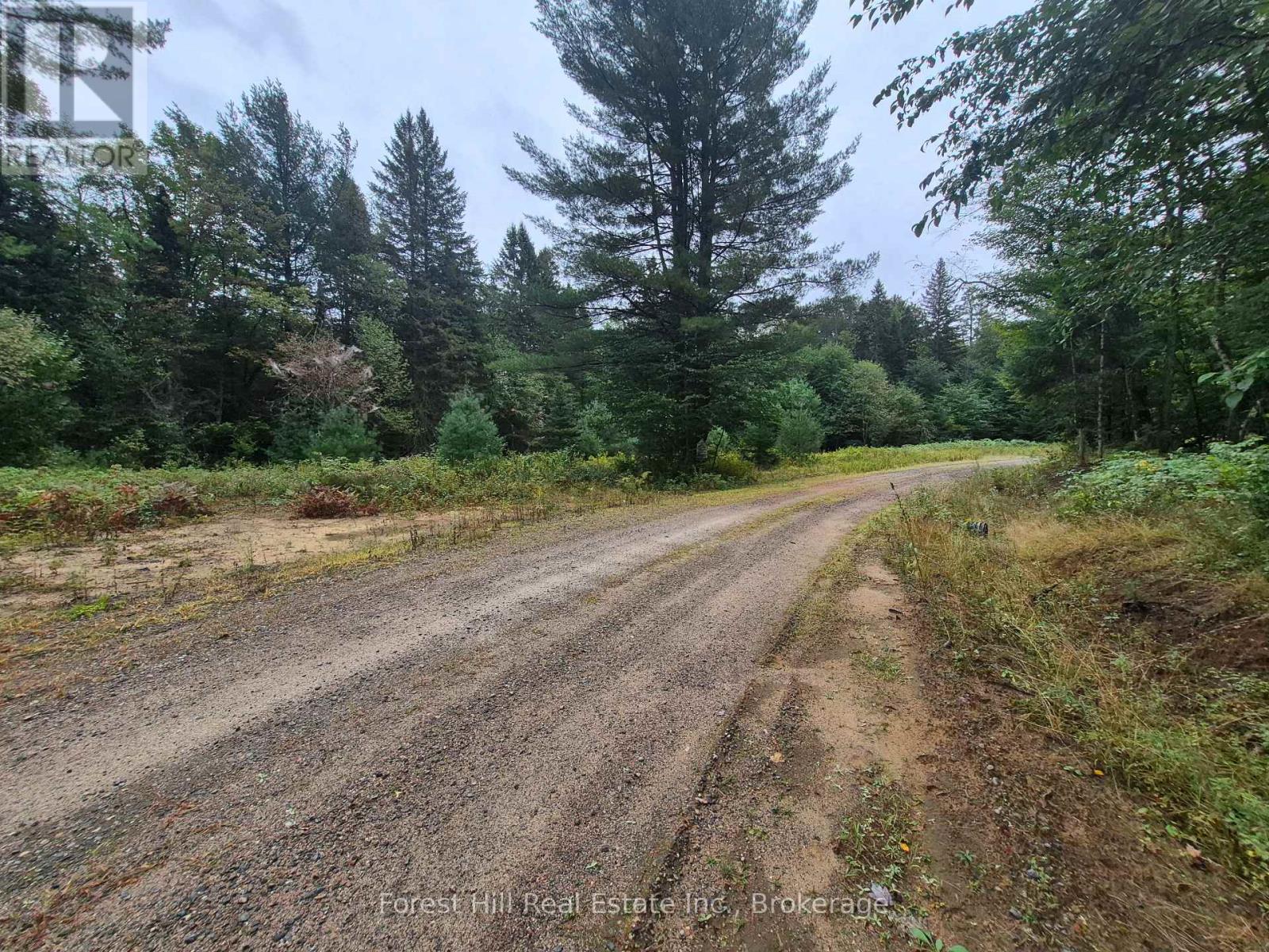 335 Woodland Drive, Mcmurrich/monteith, Ontario  P0P 1B0 - Photo 1 - X13780234