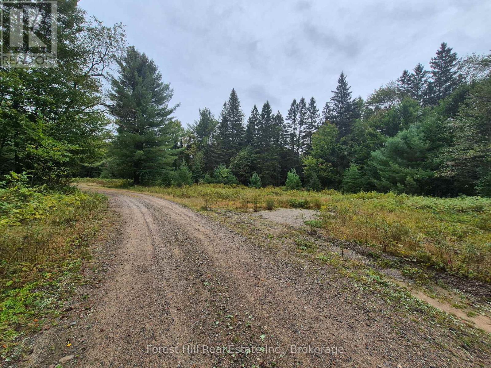 335 Woodland Drive, Mcmurrich/monteith, Ontario  P0P 1B0 - Photo 2 - X13780234