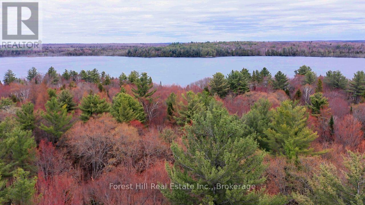 335 Woodland Drive, Mcmurrich/monteith, Ontario  P0P 1B0 - Photo 3 - X13780234