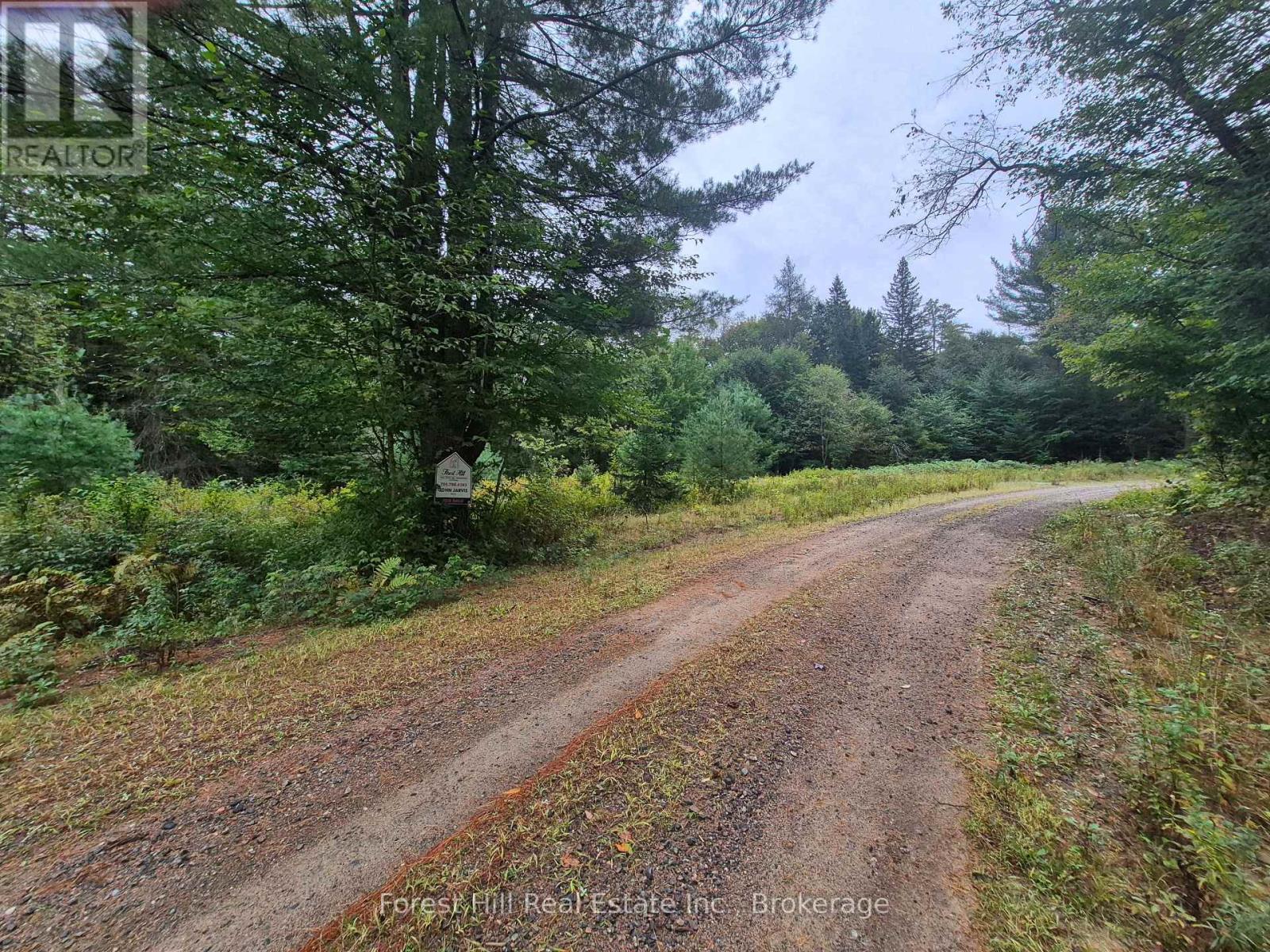 335 Woodland Drive, Mcmurrich/monteith, Ontario  P0P 1B0 - Photo 5 - X13780234