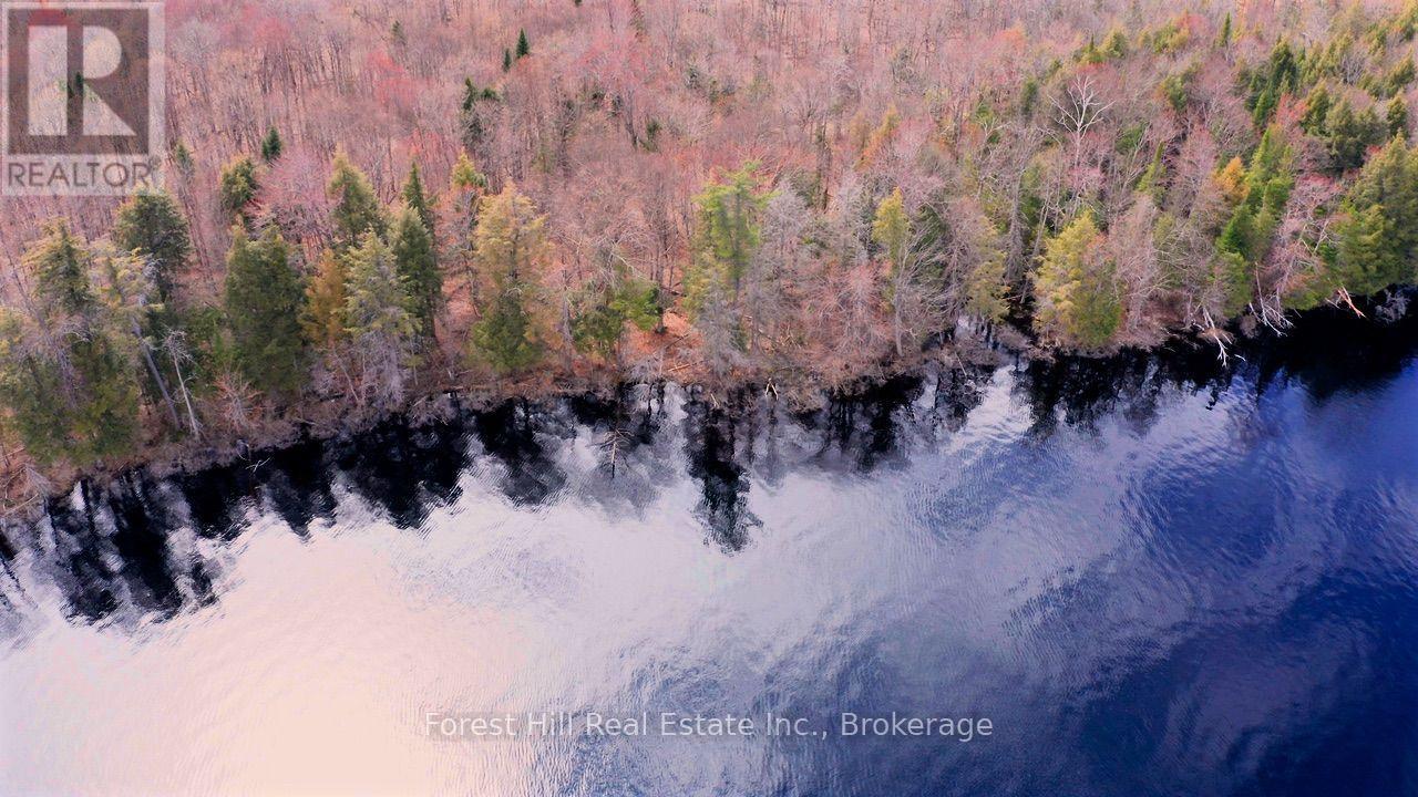 335 Woodland Drive, Mcmurrich/monteith, Ontario  P0P 1B0 - Photo 7 - X13780234