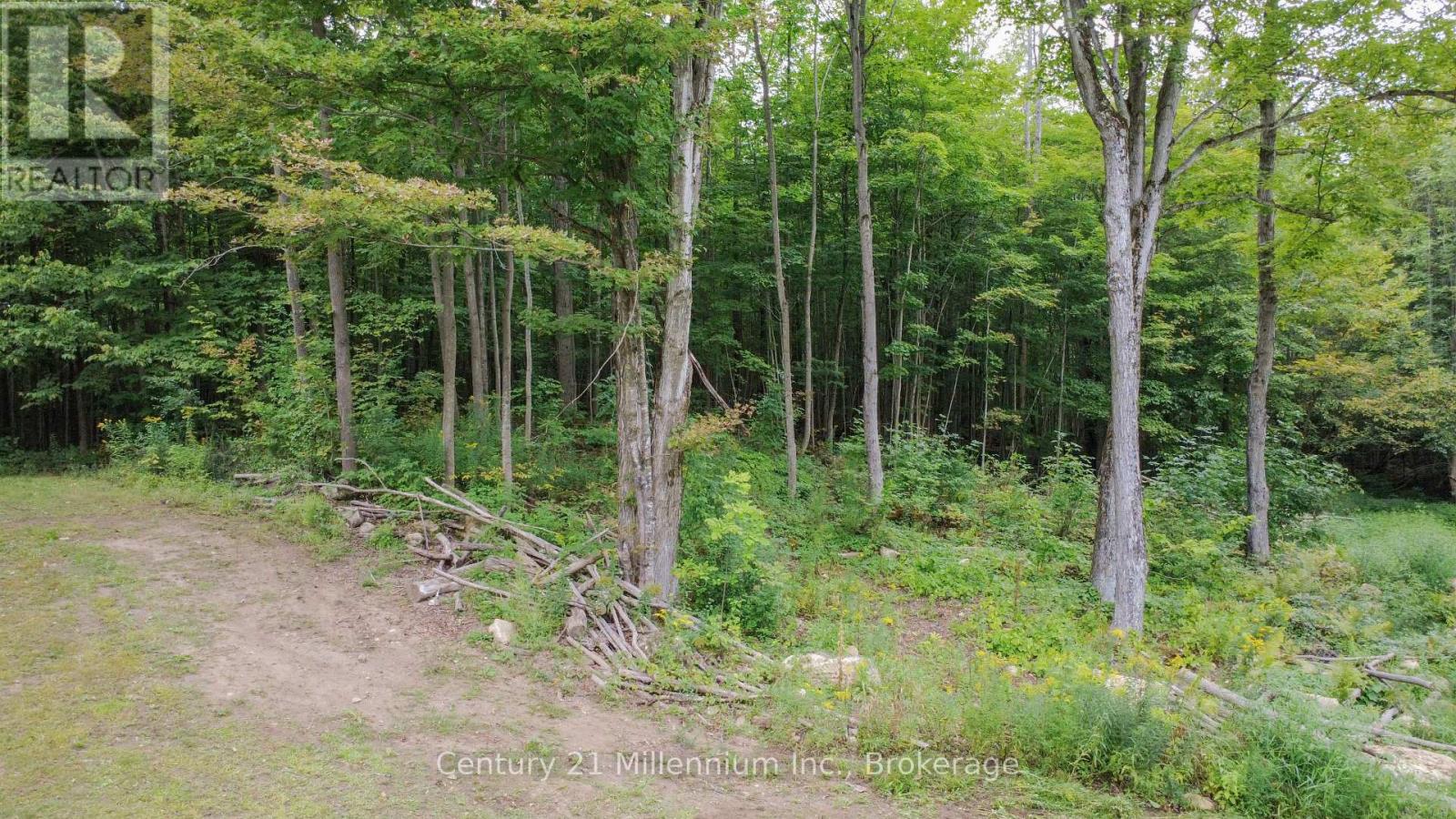 200185 Sideroad 10, Georgian Bluffs, Ontario  N0H 2K0 - Photo 42 - X13788294