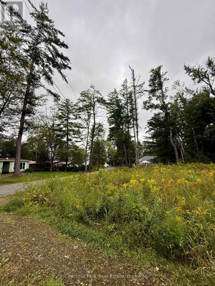 1004 Chippawa Avenue, Gravenhurst, Ontario  P1P 1R1 - Photo 6 - X13788332