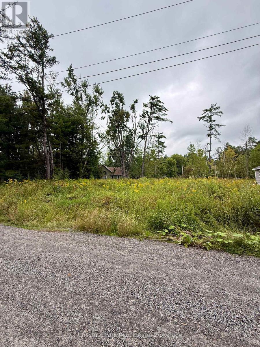 1004 Chippawa Avenue, Gravenhurst, Ontario  P1P 1R1 - Photo 7 - X13788332
