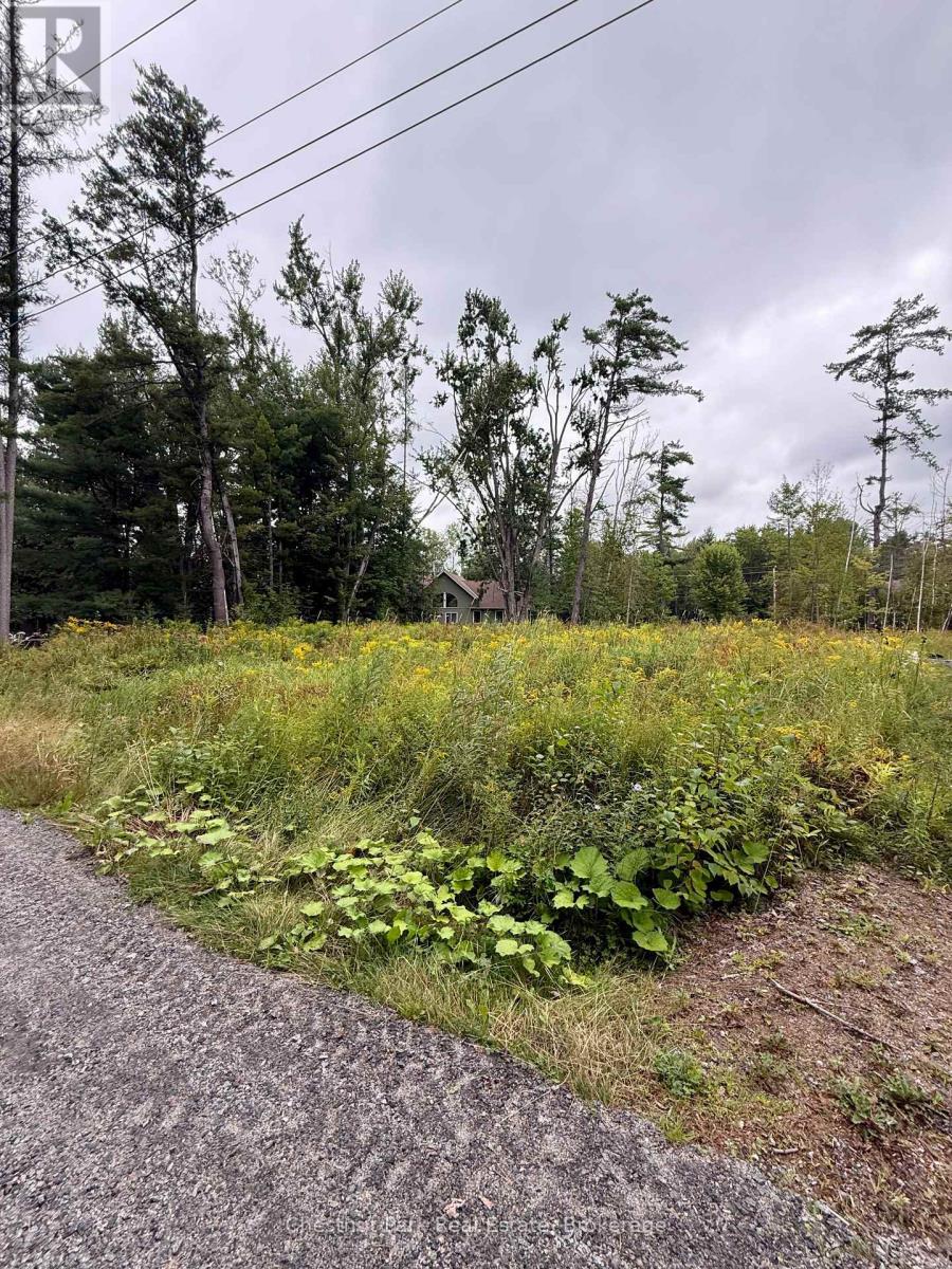 1004 Chippawa Avenue, Gravenhurst, Ontario  P1P 1R1 - Photo 8 - X13788332