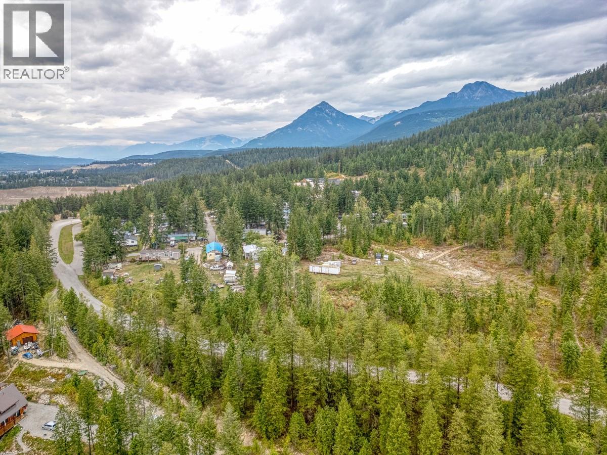 470 Reflection Lake Road, Golden, British Columbia  V0A 1H6 - Photo 23 - 10400928