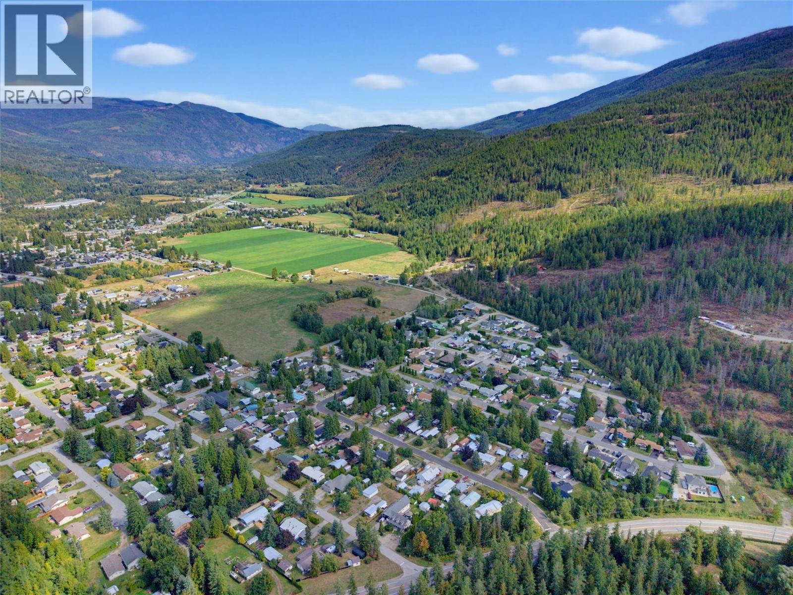 405 Gillis Avenue, Sicamous, British Columbia  V0E 2V1 - Photo 13 - 10400970