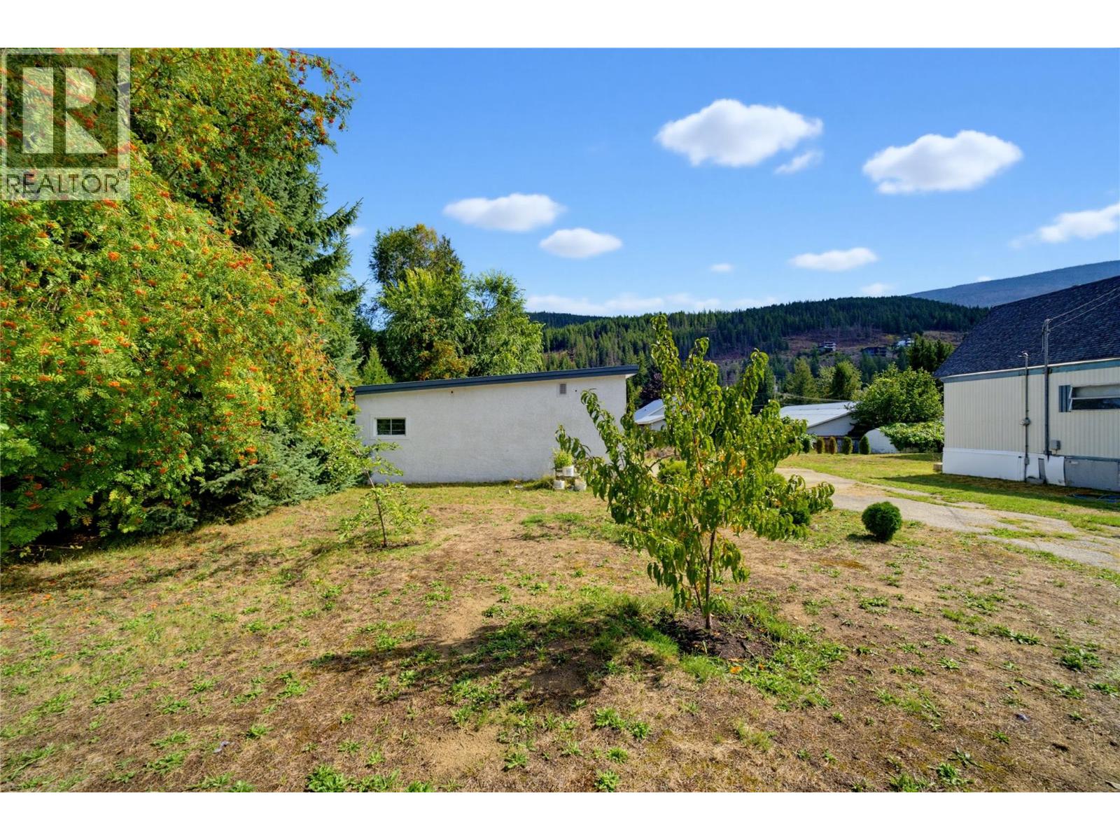 405 Gillis Avenue, Sicamous, British Columbia  V0E 2V1 - Photo 52 - 10400970
