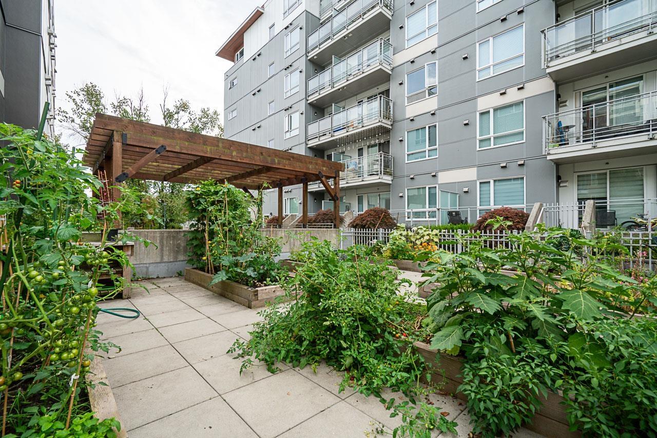 603 10603 140 Street, Surrey, British Columbia  V3T 0M8 - Photo 35 - R3165901